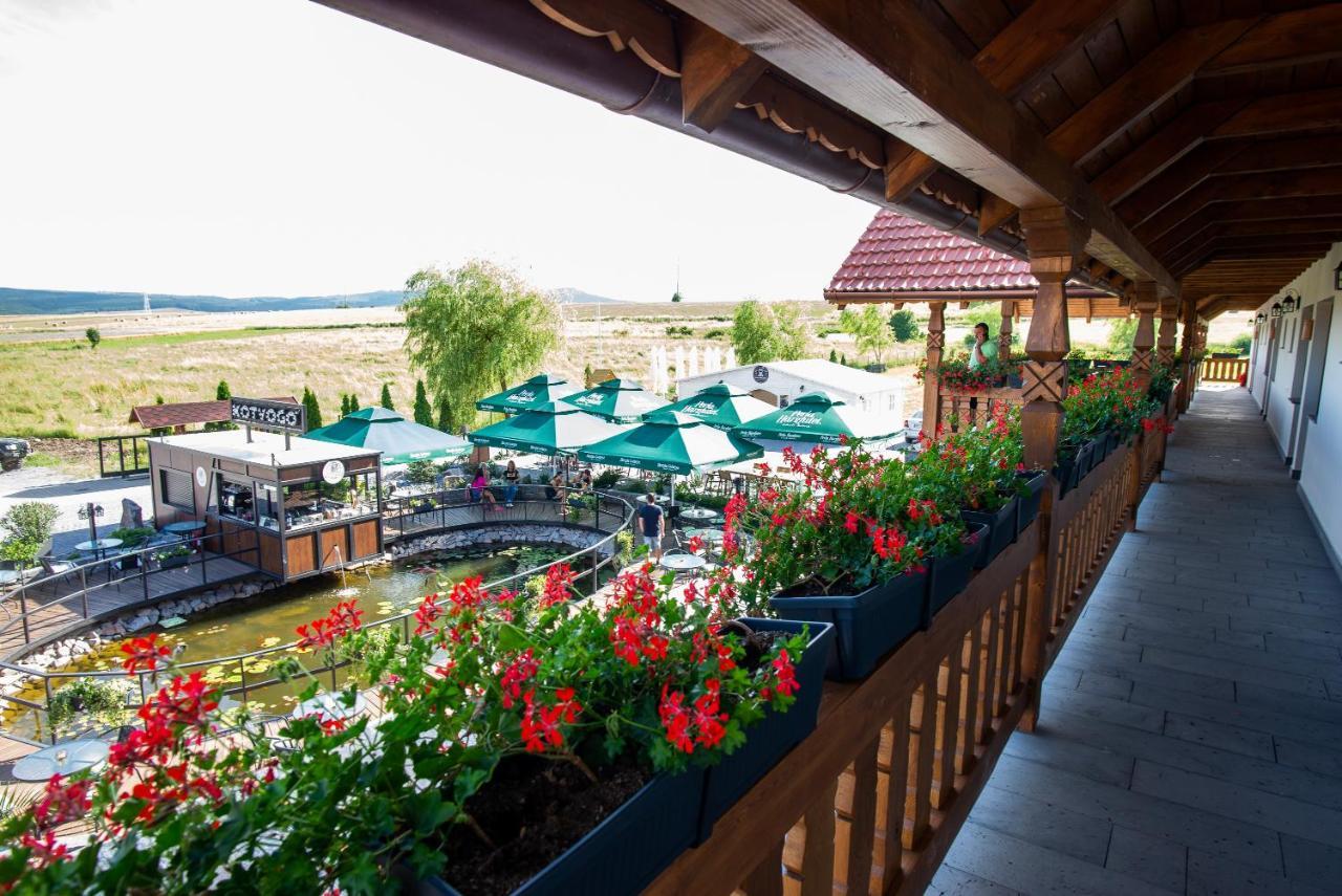 Bed and Breakfast Kotyogo Panzio Lupeni  Екстер'єр фото