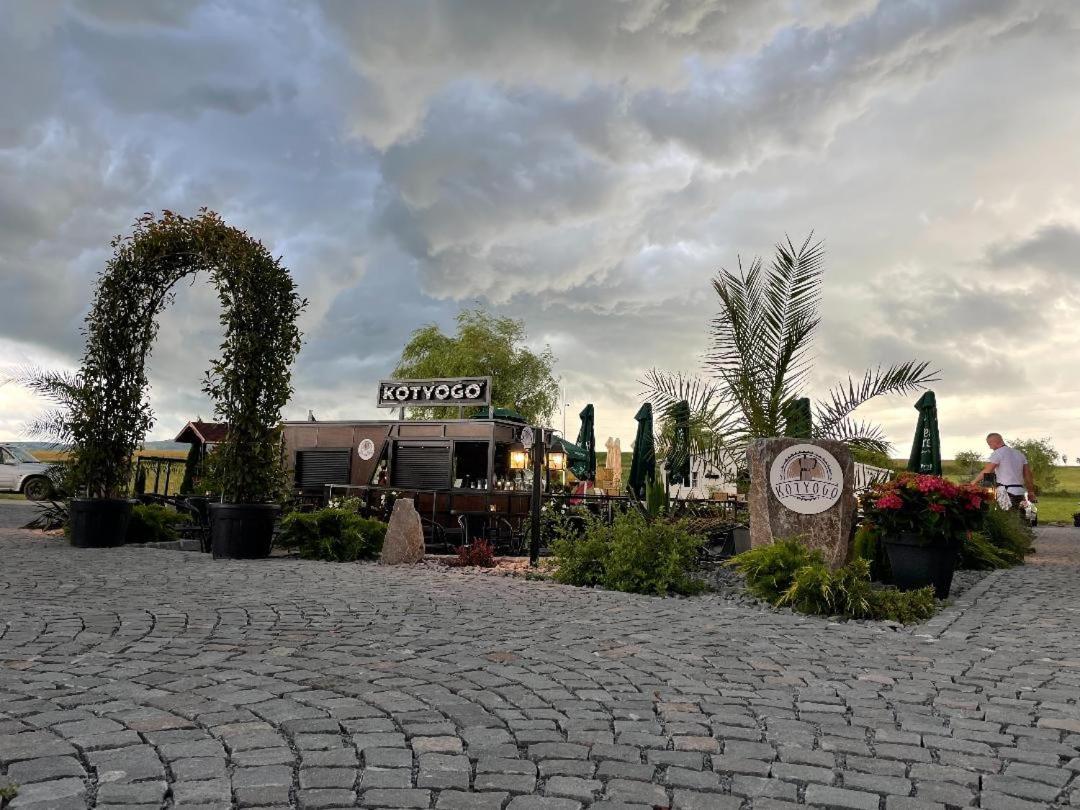 Bed and Breakfast Kotyogo Panzio Lupeni  Екстер'єр фото